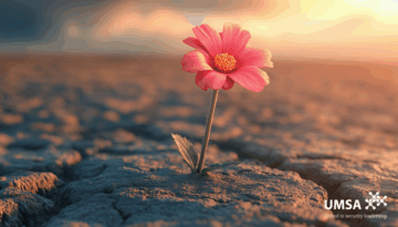 2025 UMSA October Blog #2 2025 UMSA October Blog #2