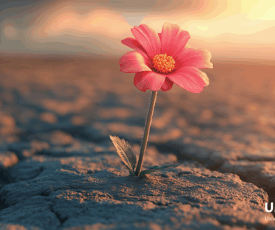 2025 UMSA October Blog #2 2025 UMSA October Blog #2