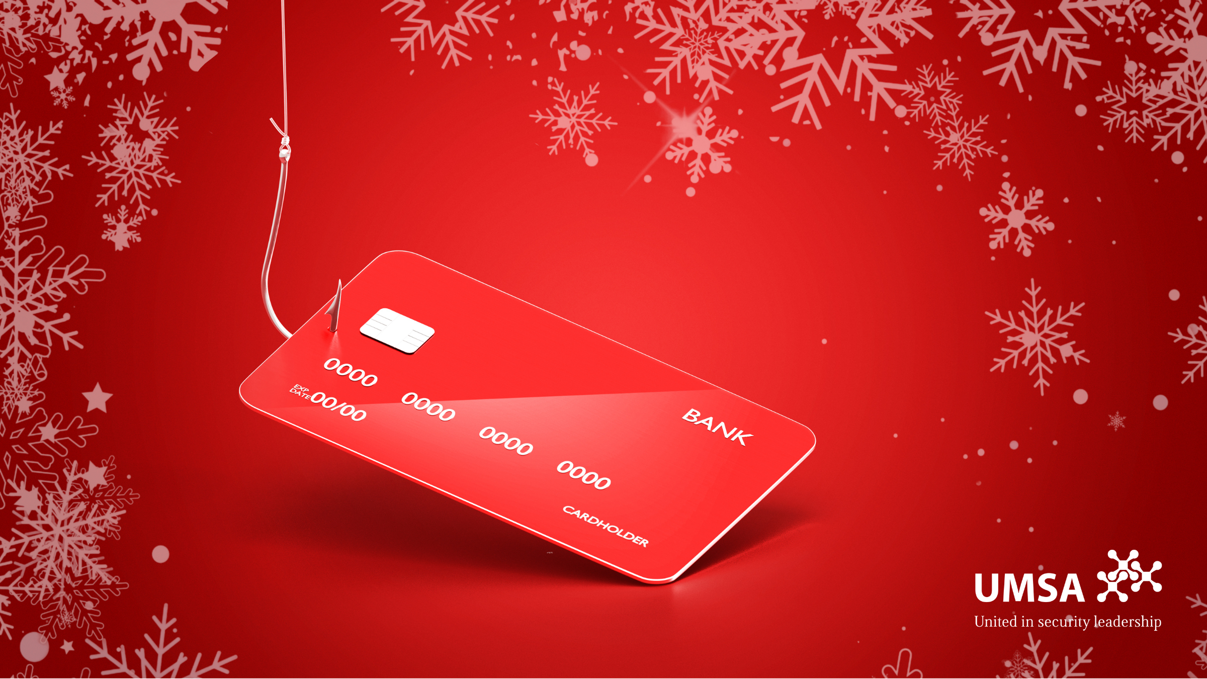 2025 UMSA December Blog #1